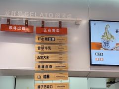 -野人先生现做冰淇淋(西安赛格店)