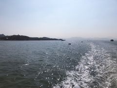 -国际邮轮中心码头(厦鼓码头)