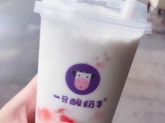 -一只酸奶牛(八一路店)