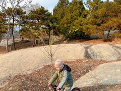 -白水寺森林公园