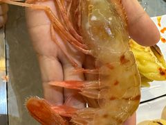 -上隐水产海鲜刺身自助餐(淮海百盛店)