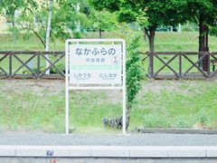 -富田农场