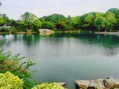 -南京珍珠泉风景区