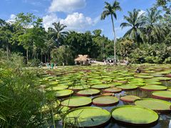 -中国科学院西双版纳热带植物园