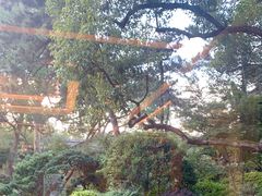 -浙江西子宾馆·瑶园咖啡厅