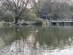 -西湖外事游船(花港观鱼码头)