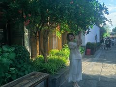 -鲤院·新中式美学·庭院餐厅(夫子庙店)