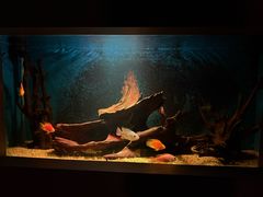 -普吉岛凯悦酒店