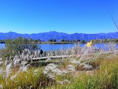 -野鸭湖国家湿地公园