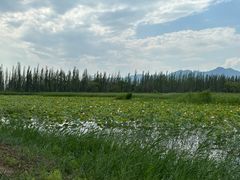 -野鸭湖国家湿地公园