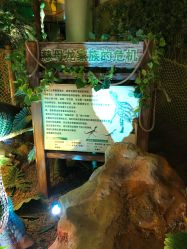 -恐龙探索乐园(磁器口店)
