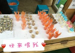 -萌宠亲子动物乐园(槐房万达店)