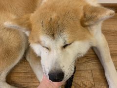 -YCHL Studios健身工作室(市二宫店)