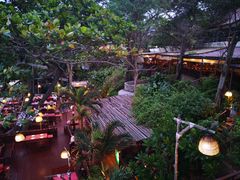 -卷心菜和避孕套餐厅(Pattaya)