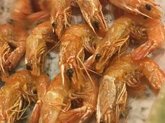 -科尔海悦酒店樱之河日本料理(清河东路店)