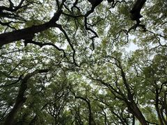 -普陀山风景名胜区-法雨禅寺