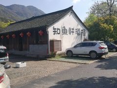 -知鱼轩