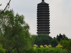 -西海子公园
