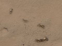 -平湖九龙山旅游度假区