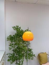 -变美丽半永久纹眉连锁·机器野生眉·洗眉