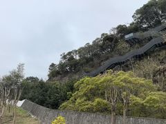 -福道
