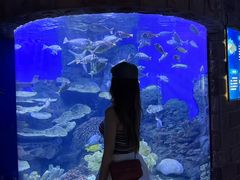 -左海海底世界