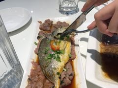 -至潮餐厅精致粤菜·活鲈鱼·走地鸡(珠江新城店)