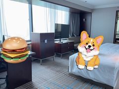 -上海龙之梦万丽酒店