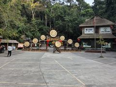 -西双版纳基诺山寨