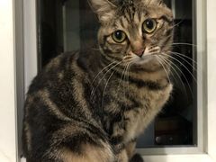 -惠王陵(地铁站)