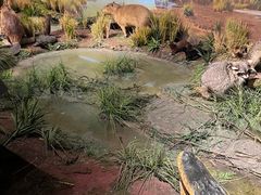 -陕西自然博物馆