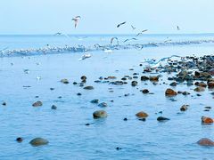 -天津东疆湾沙滩景区