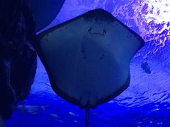 -多彩贵州城极地海洋世界