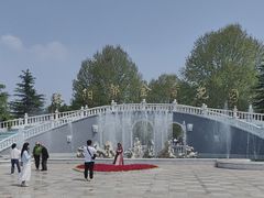 -洛阳郁金香牡丹园