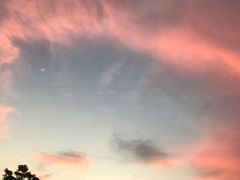 -武昌江滩