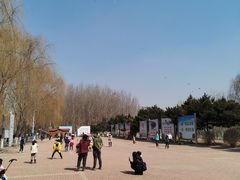 -丁香湖公园