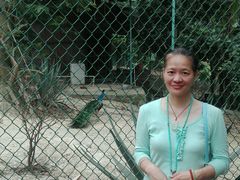 -广西壮族自治区药用植物园