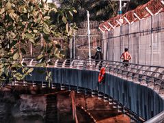 -福田红树林生态公园