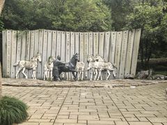 -白马涧龙池景区