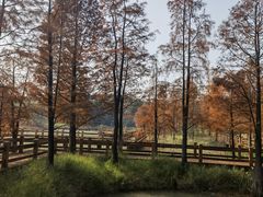 -凤凰沟景区