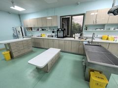-北京观赏动物医院·24小时大型综合·猫专科·异宠专科