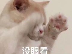 -新石器烤肉(无锡万象城店)