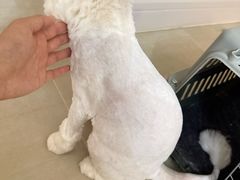 -久久宠物(河东万达店)