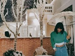 -Blue Concept Cafe&Farm·關於藍