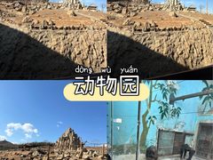 -石家庄市动物园