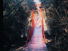 -上海吴淞炮台湾国家湿地公园