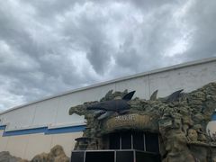 -秦皇岛乐岛海洋王国