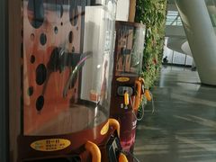 -WFC会仙楼观景台