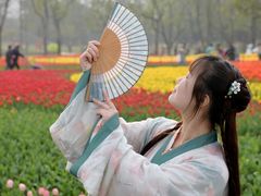 -大宁郁金香公园-停车场