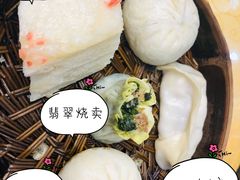 -富春茶社(国庆路店)